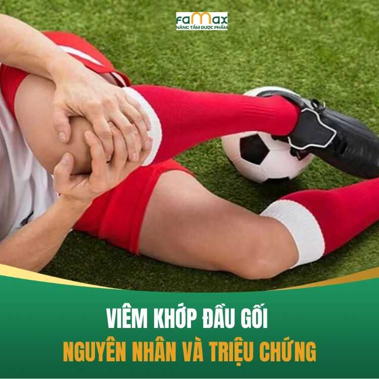 Viem Khop Dau Goi