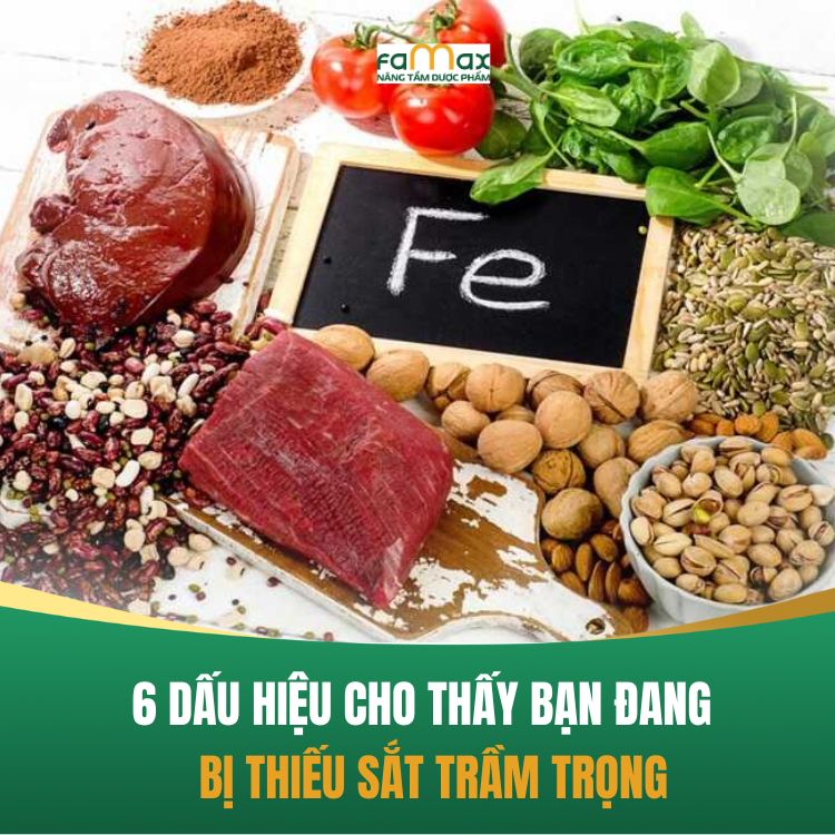 6 Dau Hieu Cho Thay Ban Dang Bi Thieu Sat Tram Trong 68cd13f014a20.webp