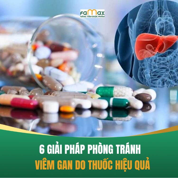 6 Giai Phap Phong Tranh Viem Gan Do Thuoc 68c000c839837.webp