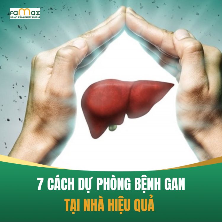 7 Cach Don Gian De Du Phong Benh Gan Tai Nha Va Ho Tro Dieu Tri 68d210e37411c.webp