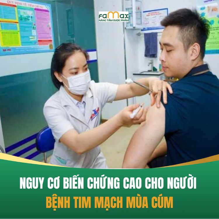 Cum Mua Anh Huong Benh Tim Mach (1)