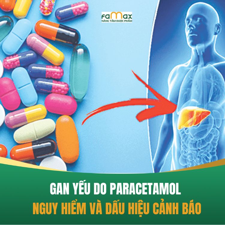 Gan Yeu Do Paracetamol Nguy Hiem Va Dau Hieu Canh Bao 68bffa5368c50.webp