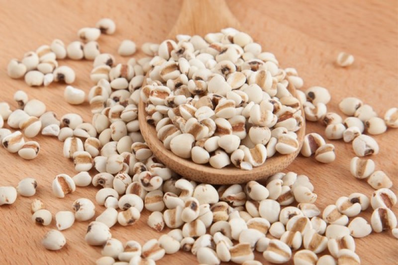 Hinh Anh Ve Duoc Lieu Y Di