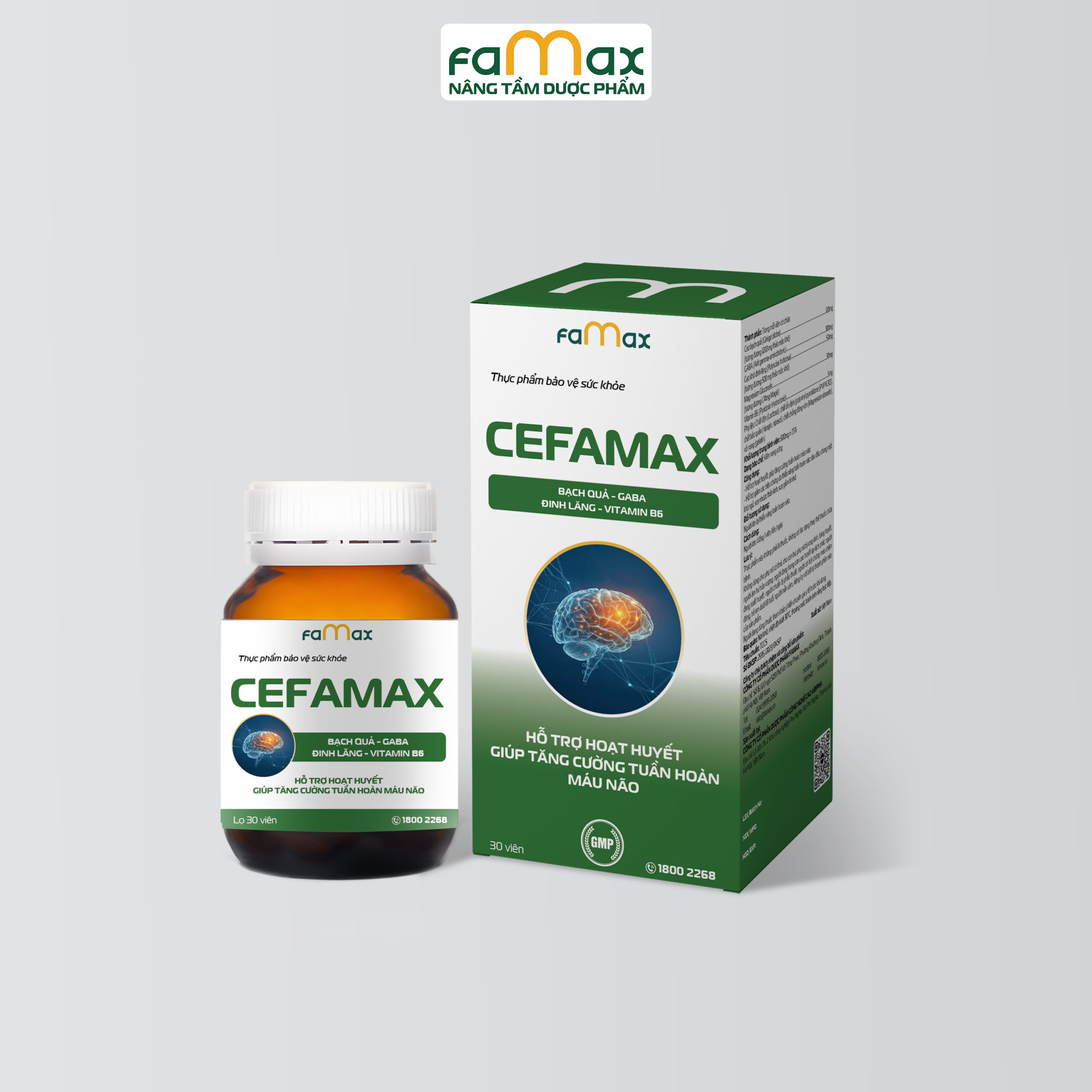 Mockup Cefamax 003