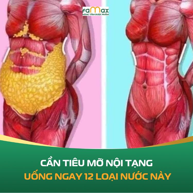 Can Tieu Mo Noi Tang Uong Ngay 12 Loai Nuoc Nay 68f053bfc60a8.webp