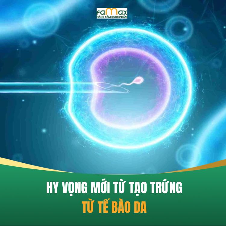 Tao Trung Tu Te Bao Da