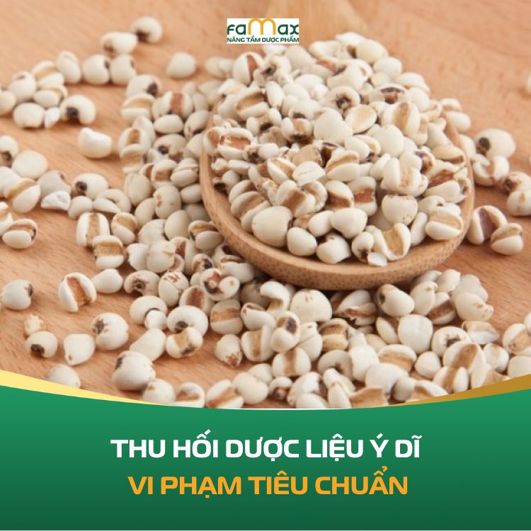 Thu Hoi Lo Duoc Lieu Y Di Khong Dat Tieu Chuan