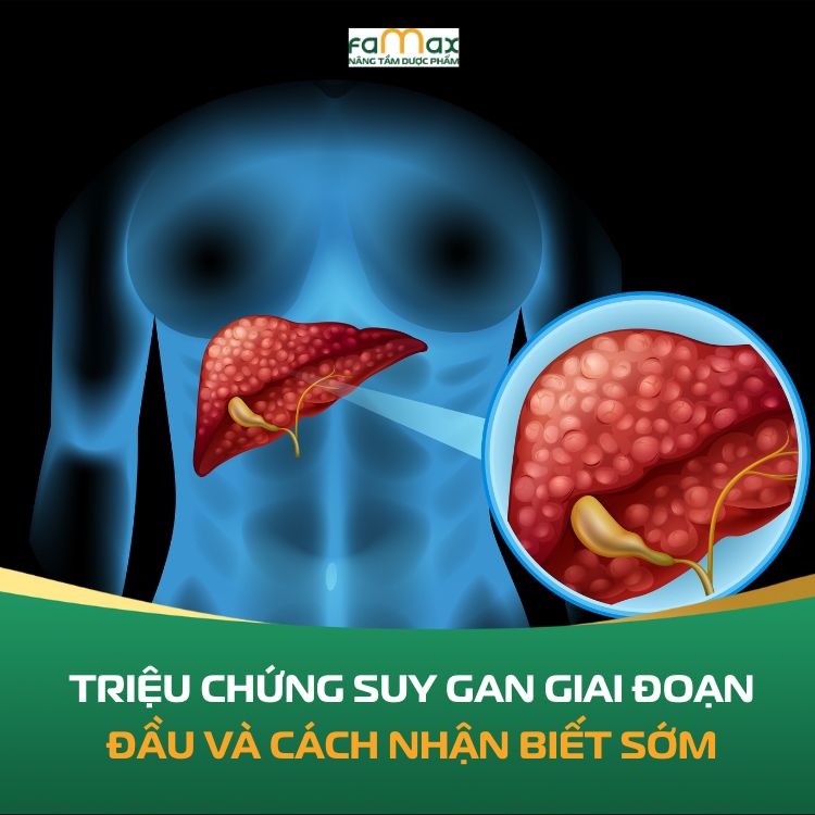 Trieu Chung Suy Gan Giai Doan Dau 68f9dafa89328.webp