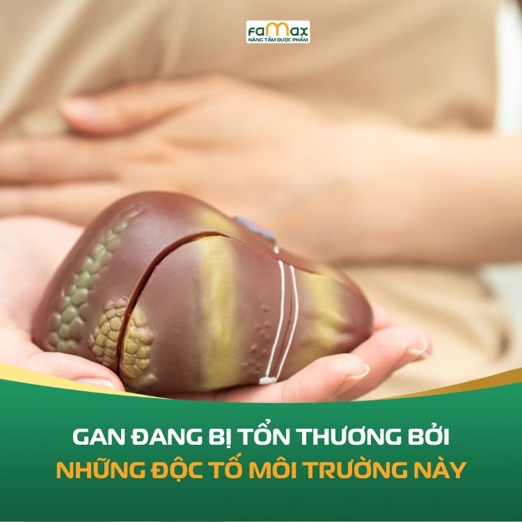 Gan Bi Ton Thuong Do Doc To Moi Truong 690b21acad52c.webp