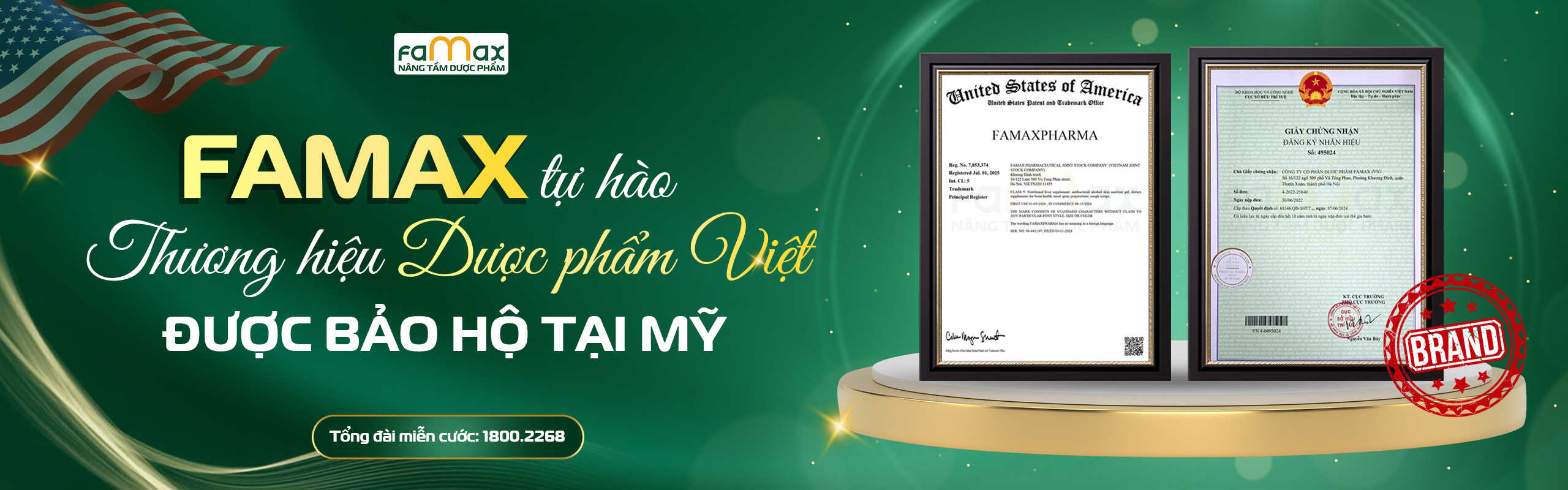 Web Dp Việt Copy Optimized