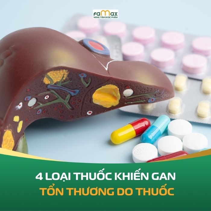 4 Loai Thuoc Khien Gan Ton Thuong Do Thuoc 693fdfbf24d23.webp