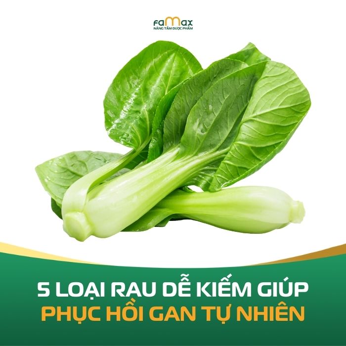 5 Loai Rau De Kiem Giup Phuc Hoi Gan Tu Nhien 6943d36b87c32.webp