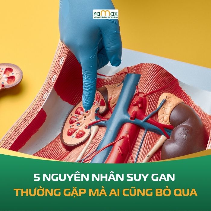 5 Nguyen Nhan Suy Gan Thuong Gap Ma Ai Cung Bo Qua 692d3e29a2bbc.webp