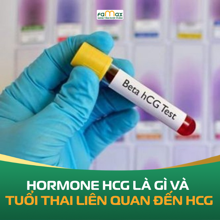 Hormone Hcg La Gi Va Tuoi Thai Lien Quan Den Hcg 694cbc00ecc71.webp