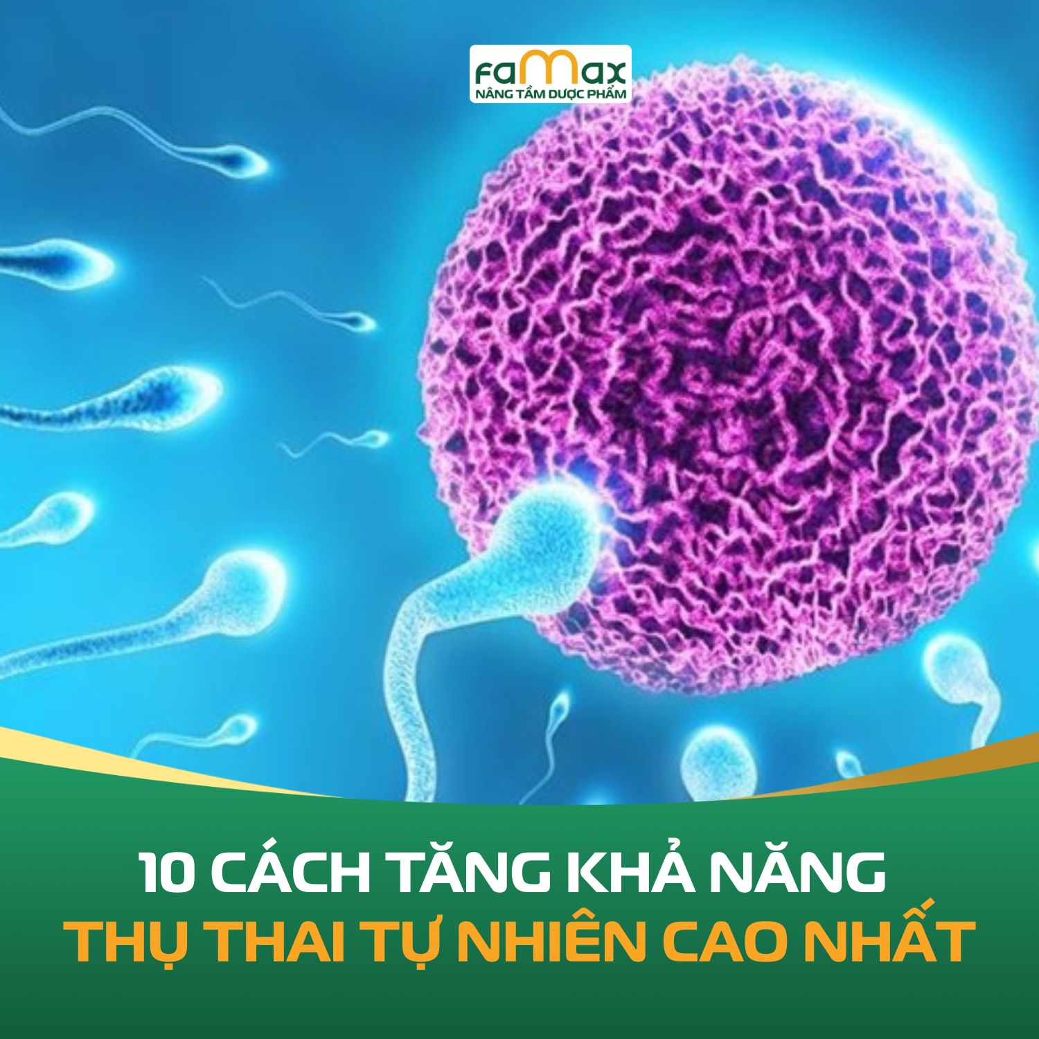 10 Cach Tang Kha Nang Thu Thai Tu Nhien Cao Nhat 6979858be3d23.webp