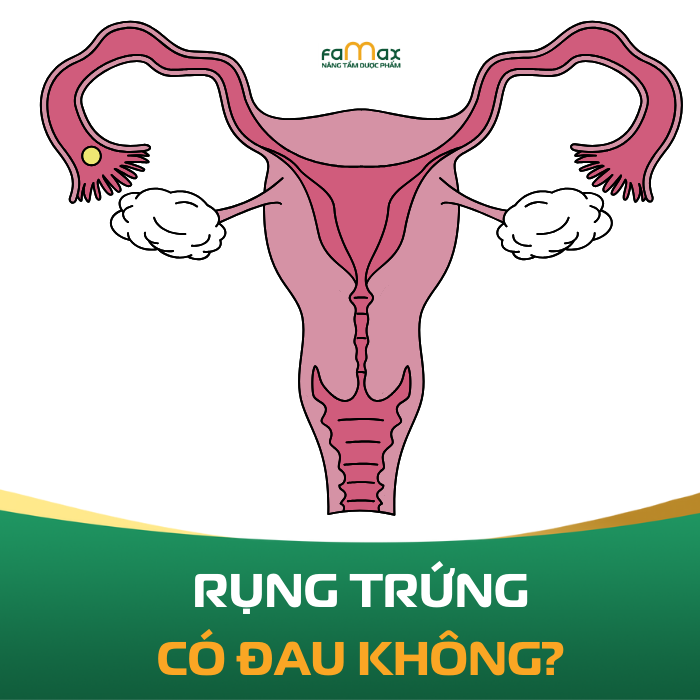 Rung Trung Co Dau Khong