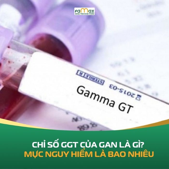 Chi So Ggt Cua Gan La Gi Khi Nao Chi So Nay Dat Muc Nguy Hiem 6960839c6d18c.webp