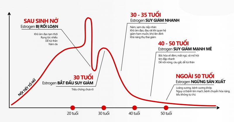 Bieu Do Noi Tiet To Nu