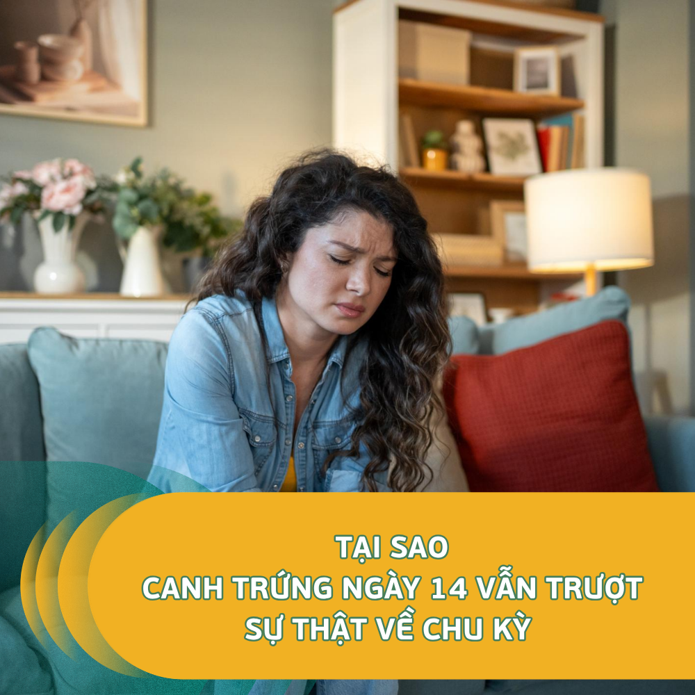 Tại Sao Canh Trứng Ngày 14 Vẫn Trượt Sự Thật Về Chu Kỳ