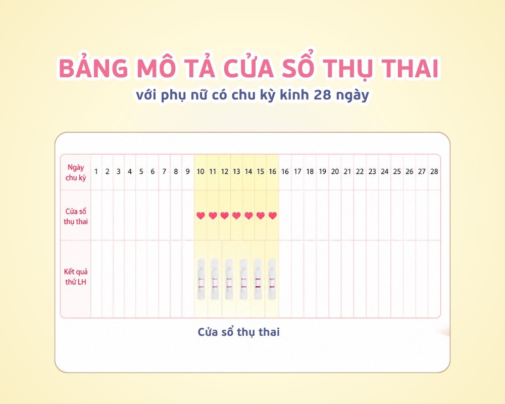 Bang Mo Ta Cua So Thu Thai