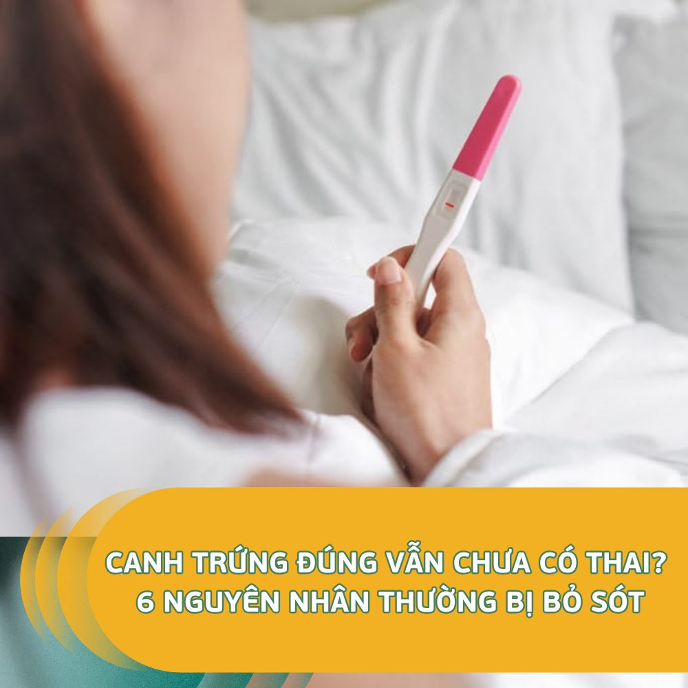 Canh Trứng Đúng Vẫn Chưa Có Thai 6 Nguyên Nhân Thường Bị Bỏ Sót
