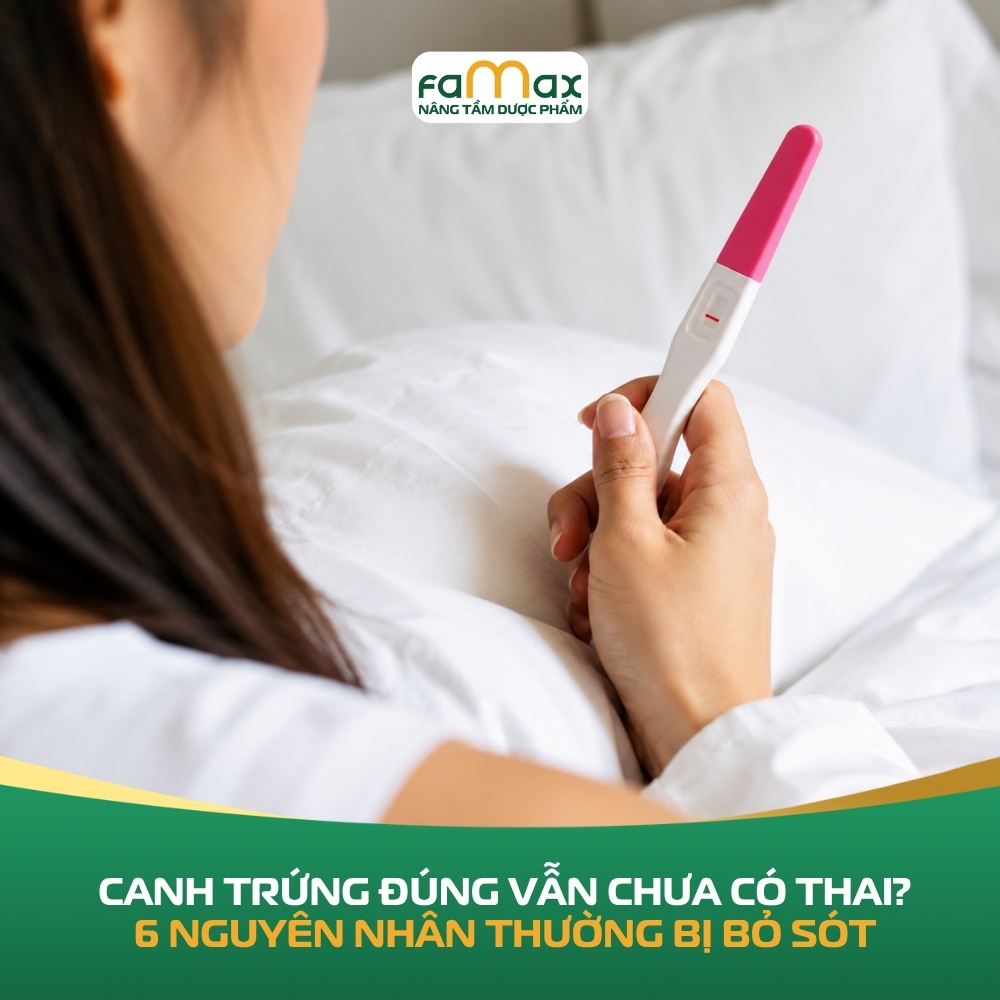 Canh Trứng Đúng Vẫn Chưa Có Thai 6 Nguyên Nhân Thường Bị Bỏ Sót